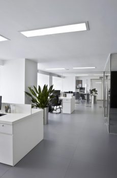 Société de domiciliation Angoulême